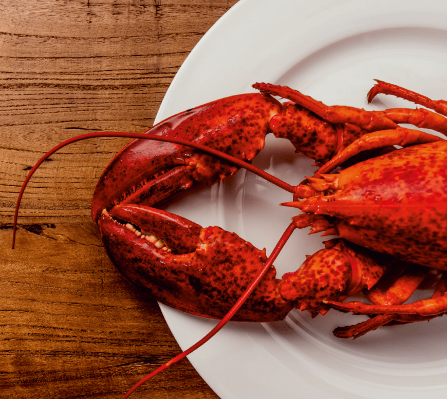 Lobster Friday | Kreeft | Parkhotel Horst | Noord Limburg | Restaurant BØFF