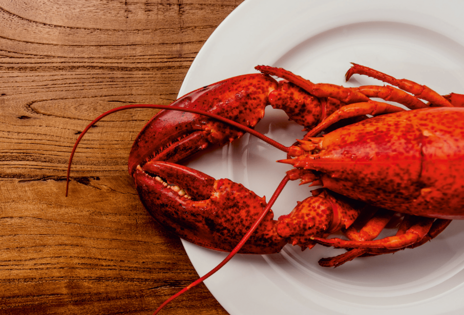 Lobster Friday | Kreeft | Parkhotel Horst | Noord Limburg | Restaurant BØFF