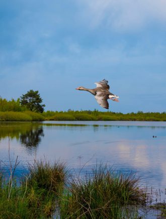 Nationaal Park de Maasduinen | Parkhotel Horst | Noord Limburg